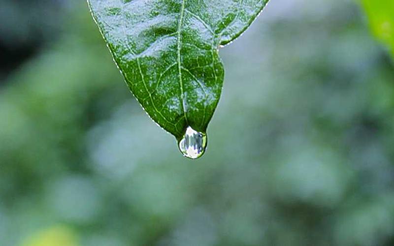 Capoeira class in session at Gunga do Vale